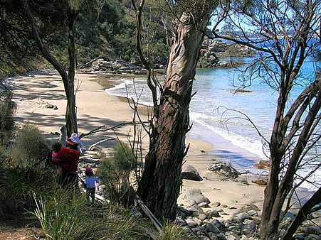 track to Timber Beach image